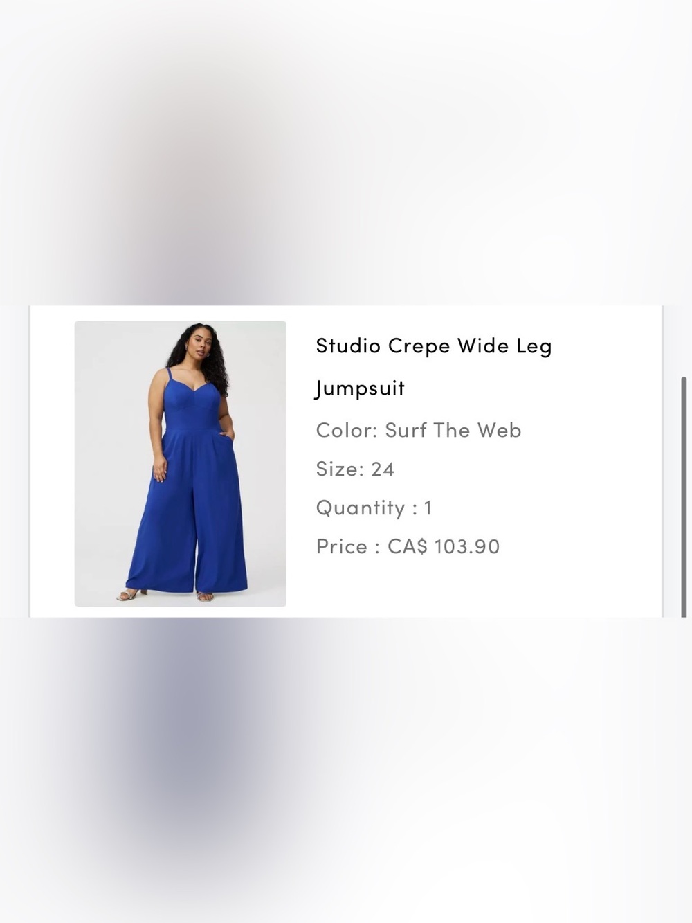 Studio Crepe Wide-Leg Jumpsuit in Surf The Web Blue